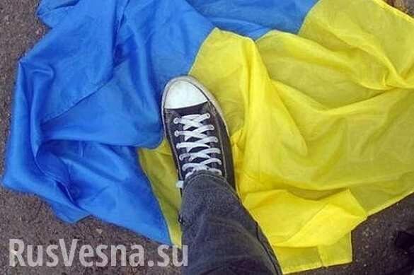 Сорвал флаг и вытер об него ноги: Жителю Одесской области грозит срок (ВИДЕО)