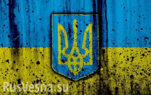 «Украинская Ванга»: Это решение добьёт Украину — ультиматум МВФ очень плохо кончится (ВИДЕО)