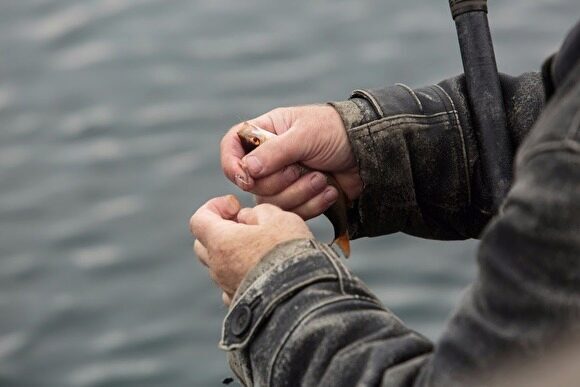В Рязанской области осудили 90-летнего профессора, который ловил рыбу на коноплю