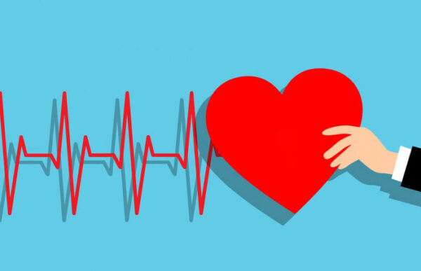 Кардиолог раскрыл секрет сохранения здоровья сердца