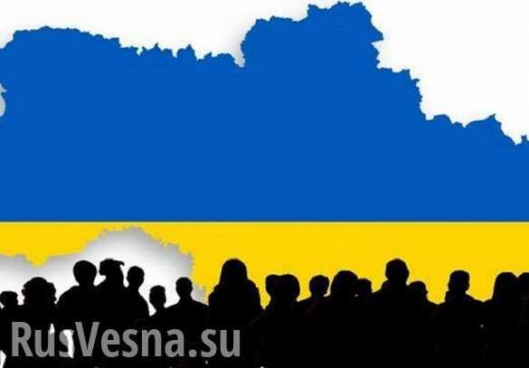 Население Украины уже меньше 42 миллионов человек, — Госстат