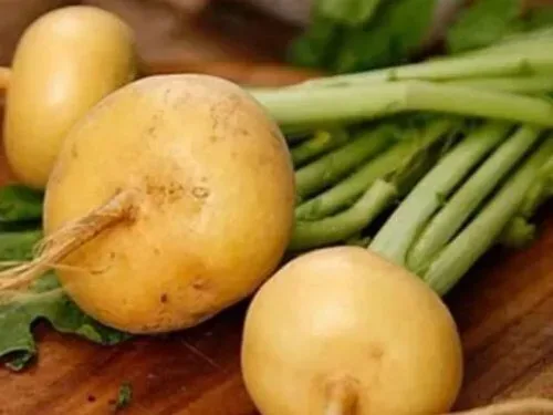 «Репа защитит печень и иммунитет»: Она особенно полезна зимой – Медики