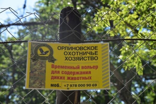 Севастопольский суд изъял из рук частников почти 4 тысячи гектаров леса
