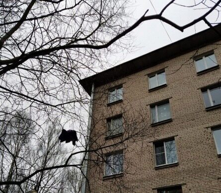 В Петербурге мать пыталась выкинуть двухлетнюю дочь из окна, чтобы «сделать ангелом»