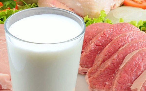 Цены на молоко и мясо в России могут вырасти на 12%