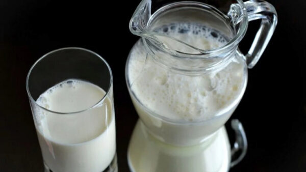 Липчан проконсультируют по вопросам качества молочной продукции