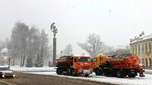 Синоптики ожидают, что сегодняшний снегопад в Липецке станет сильнейшим с начала сезона
