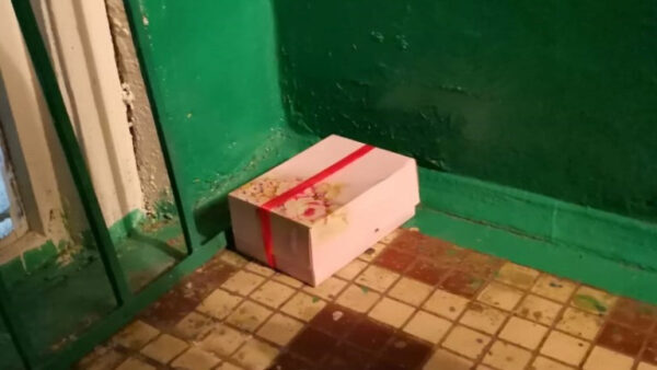 Спасатели обнаружили в подозрительной коробке пирожные