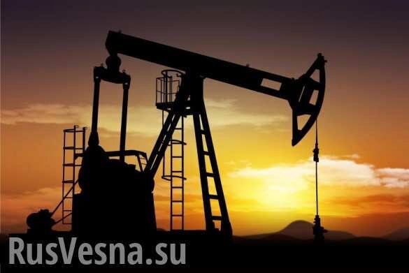 В Белоруссии рассказали о замене российской нефти