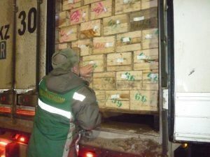 В Челябинскую область не пустили 100 тонн пакистанских мандаринов