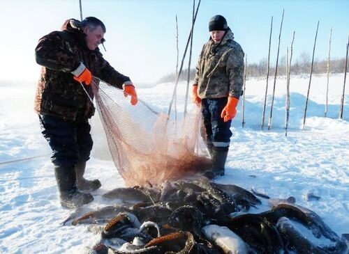 Власти Ямала увеличили квоты КНМС для традиционного рыболовства