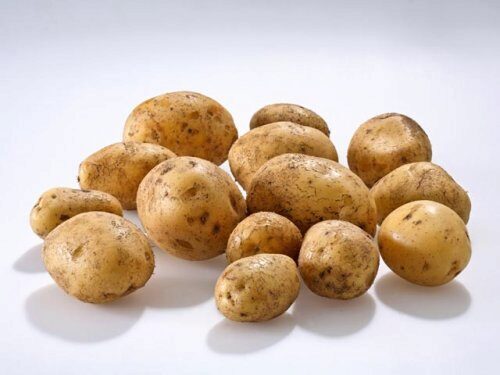 Диетологи вынесли картофелю приговор