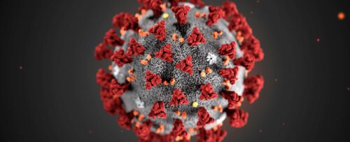 ﻿Коронавирус 2019-nCoV скоро будет объявлен пандемией