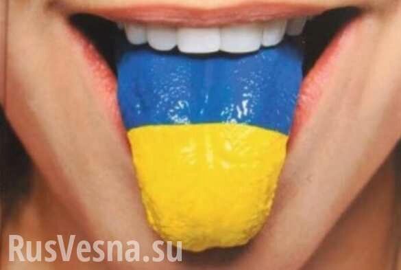 Мова калечит: родители украинских школьников рассказали о больших проблемах из-за русофобского закона о языке