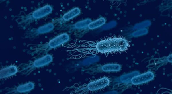 На МКС обнаружен странный штамм бактерии