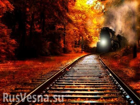 На украинку в поезде рухнула полка с пассажиром (ВИДЕО)