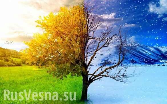На Западе объяснили аномально тёплую зиму в России
