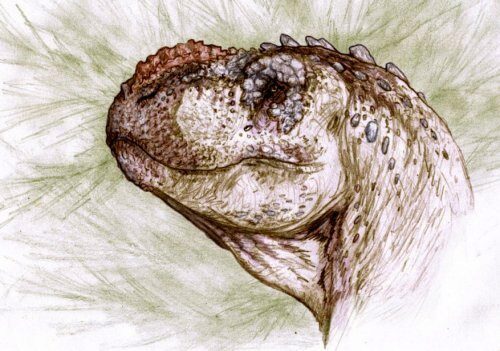 Обнаружен новый вид плотоядного динозавра, обитающего в Патагонии 90 млн лет назад