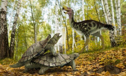 Одна единственная примитивная черепаха спаслась во время массового вымирания