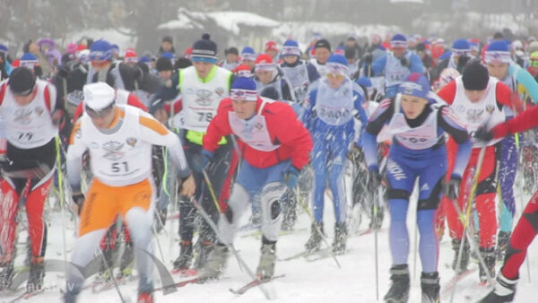 Участников и зрителей гонки «Лыжня России» доставят спецавтобусами
