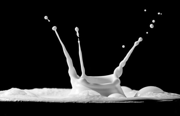 Ученые: Молоко увеличивает риск развития рака груди