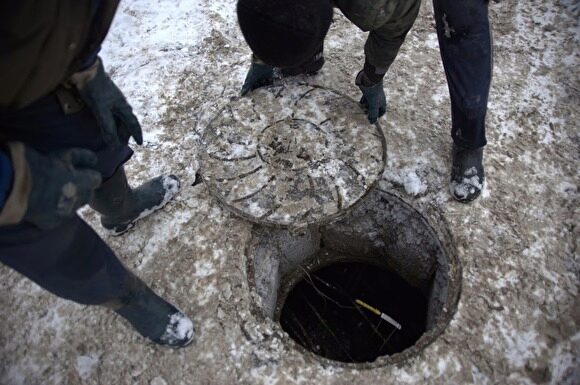 В Ленинградской области нашли мумифицированные останки рядом с воинской частью