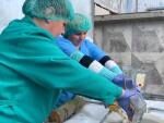 В Украине уничтожили 14 тонн водки