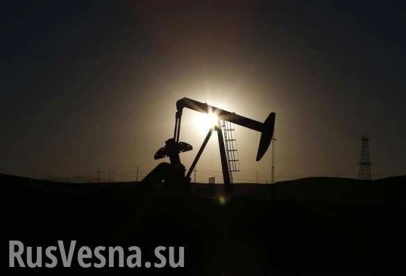 Центробанк РФ приостанавливает покупку валюты на фоне обвала цен на нефть