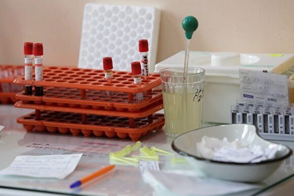 Источник: все депутаты Госдумы пройдут тест на коронавирус