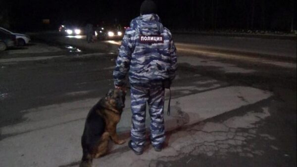 Итоги операции «Улица» в Екатеринбурге: наркотики, хулиганство, федеральный розыск