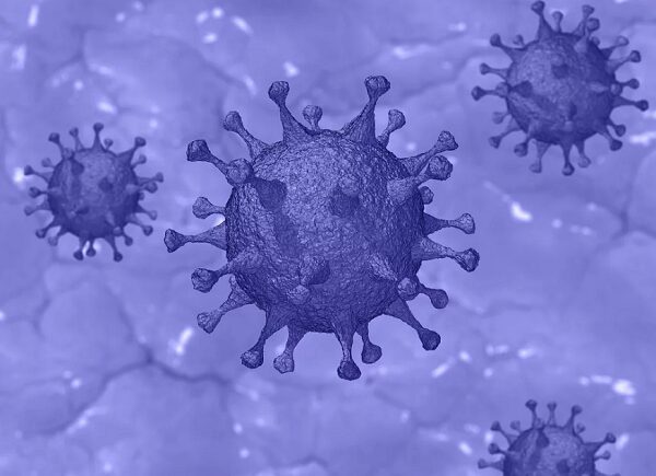 Названы основные симптомы коронавируса