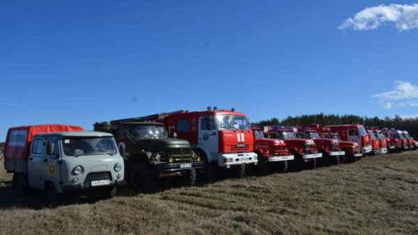 Пожароопасный сезон объявили в лесах Липецкой области
