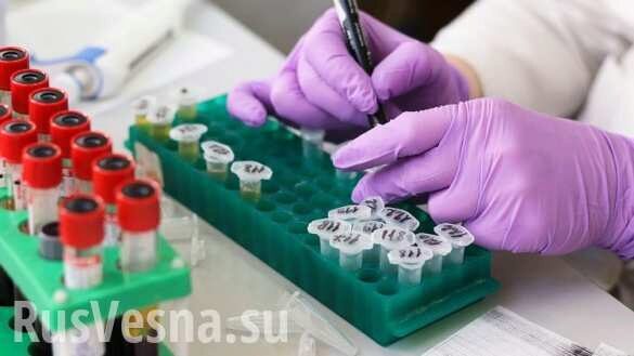 Прорыв в диагностировании коронавируса — хорошие новости из Новосибирска