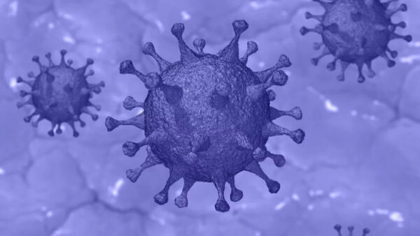 Ситуация с коронавирусом на 16 марта в Липецкой области