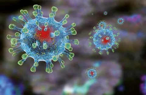 Ученые определили лучшие погодные условия для размножения коронавируса