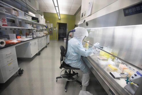 Ученые: Вакцину от коронавируса на протяжении полугода будут тестировать на людях