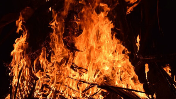 В Липецкой области начались пожары из-за теплой погоды