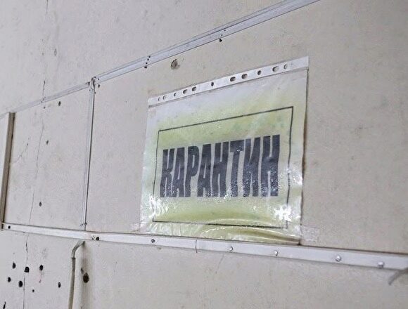 В Петербурге комитет по молодежной политике закрыли на карантин из-за болезни сотрудницы