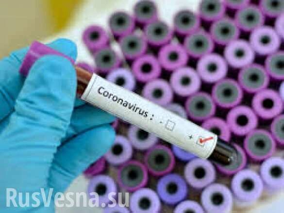 В России созданы три препарата, которые могут помочь против коронавируса