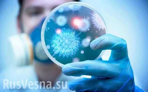 ВАЖНО: Оперативный штаб ответил на вопрос о коронавирусе в ДНР (ВИДЕО)