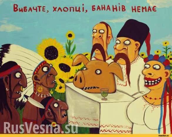 Банановая республика без бананов: Продажа украинской земли состоялась (ВИДЕО)