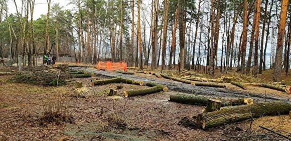Директор Шарташского парка объяснил вырубку деревьев возле озера