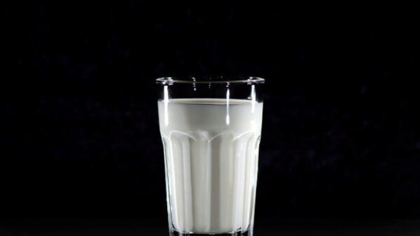 Липецкая область вошла в ТОП-30 производителей молока