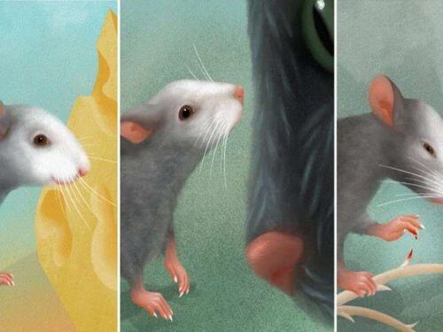 Нейробиологам удалось прочитать огромное количество эмоций на мордочке мыши