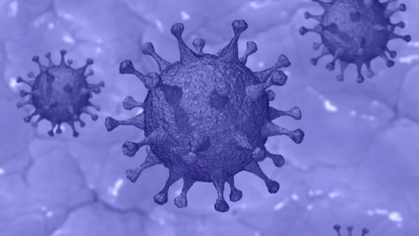 Новых случаев коронавируса в Липецкой области не зафиксировано