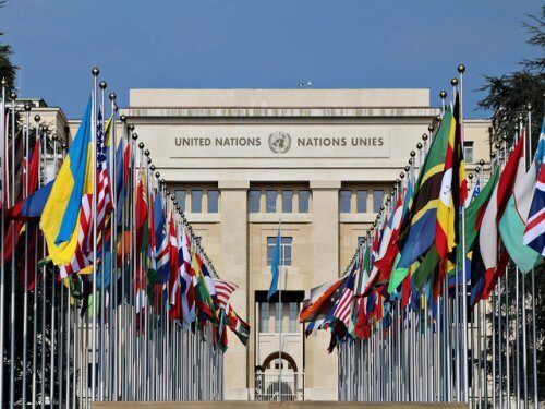 ﻿ООН запускает онлайн-инициативу по борьбе с дезинформацией о COVID-19