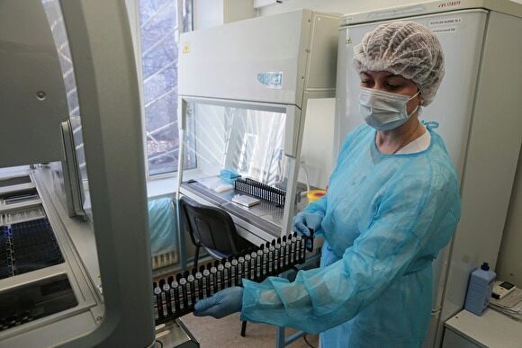 РБК: Россия отправит странам СНГ 3 тысячи тест-наборов для диагностики COVID-19