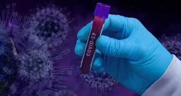 Ученые выяснили, что коронавирус поражает внутреннюю оболочку кровеносных сосудов