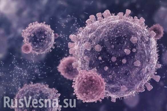 В ДНР выявлены новые случаи инфицирования коронавирусом