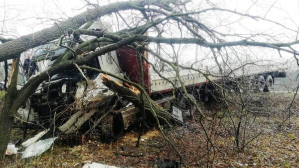 В Липецке грузовик «Вольво» протаранил дерево